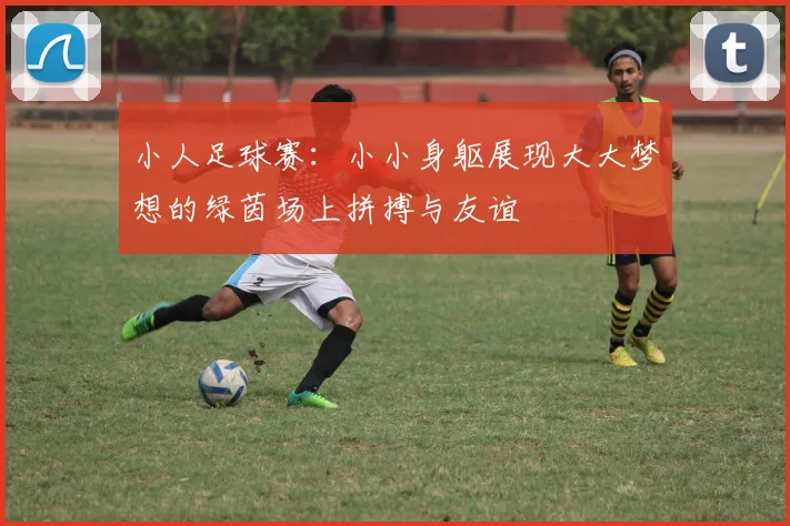 小人足球赛：小小身躯展现大大梦想的绿茵场上拼搏与友谊