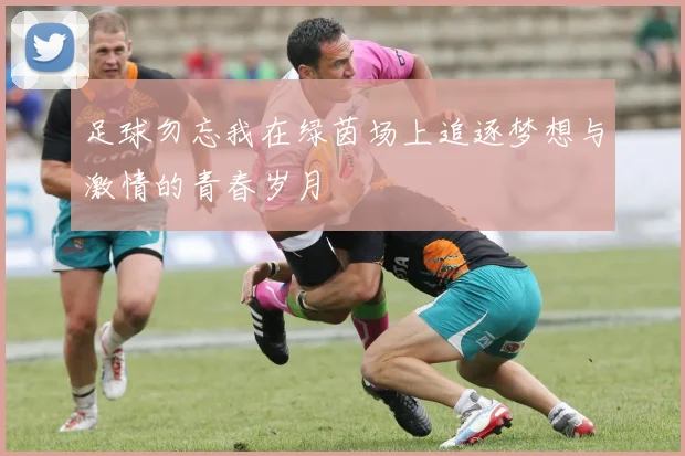 足球勿忘我在绿茵场上追逐梦想与激情的青春岁月