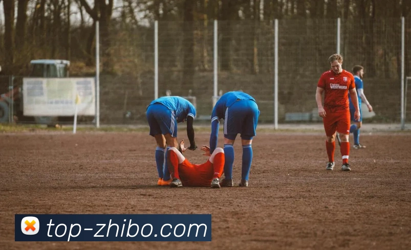 App Interface Preview